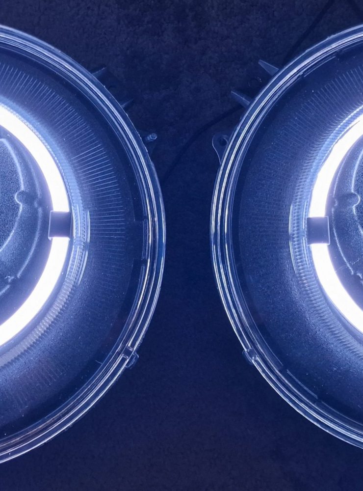 inbound5656098613796188171